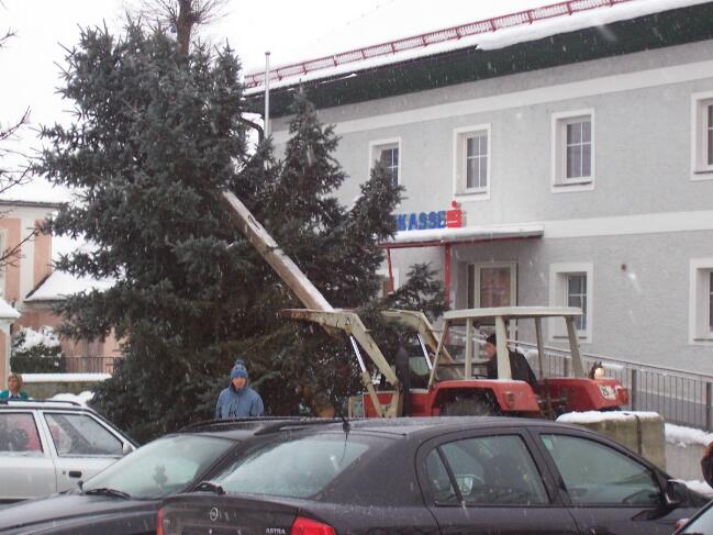 Weihnachtsbaum aufstellen