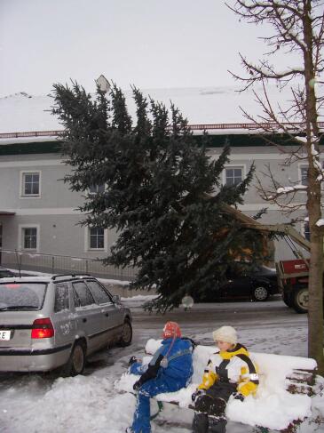 Weihnachtsbaum aufstellen