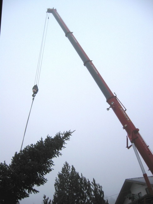 Weihnachtsbaum umschneiden 2007