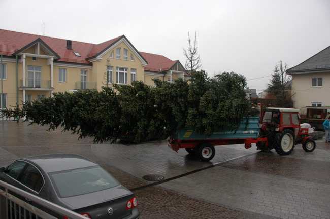 Weihnachtsbaum aufstellen 2007