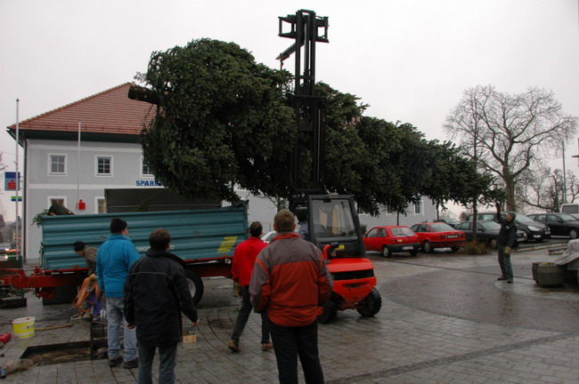 Weihnachtsbaum aufstellen 2007