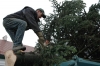 Weihnachtsbaum aufstellen 2007