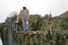 Weihnachtsbaum aufstellen 2007