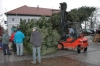 Weihnachtsbaum aufstellen 2007