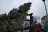 Weihnachtsbaum aufstellen 2007